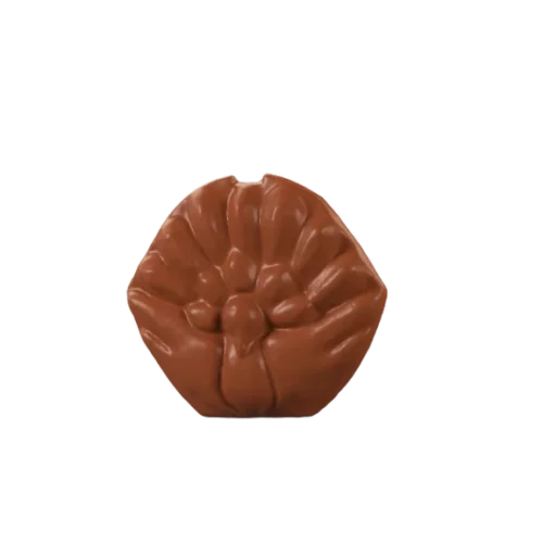 Hrebeňová upchávka holubica